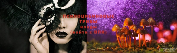 первитин Нягань