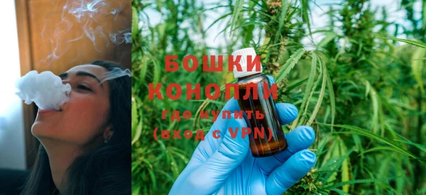 гидропоника Новозыбков